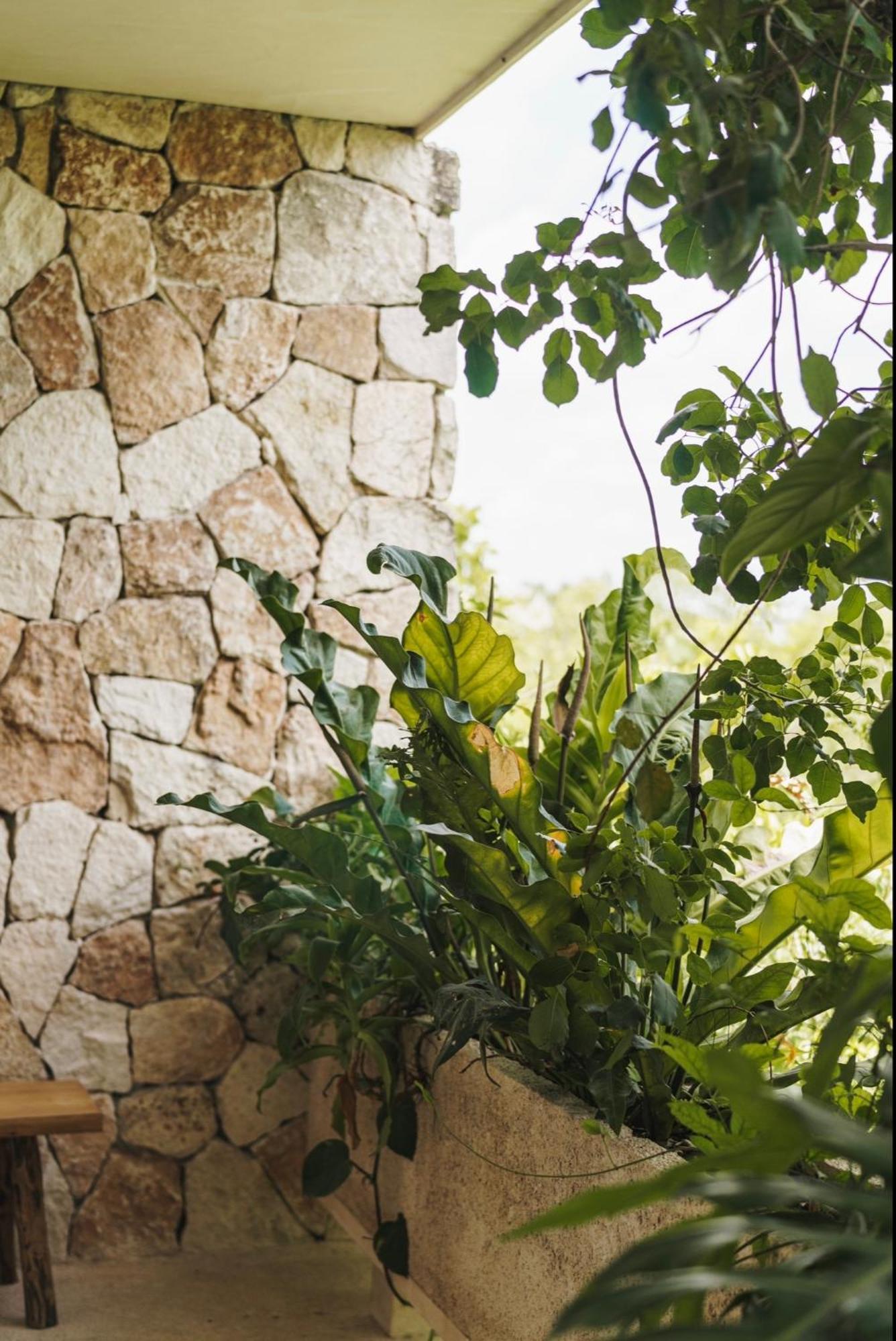 Teva Tulum, Aldea Zama 아파트 외부 사진