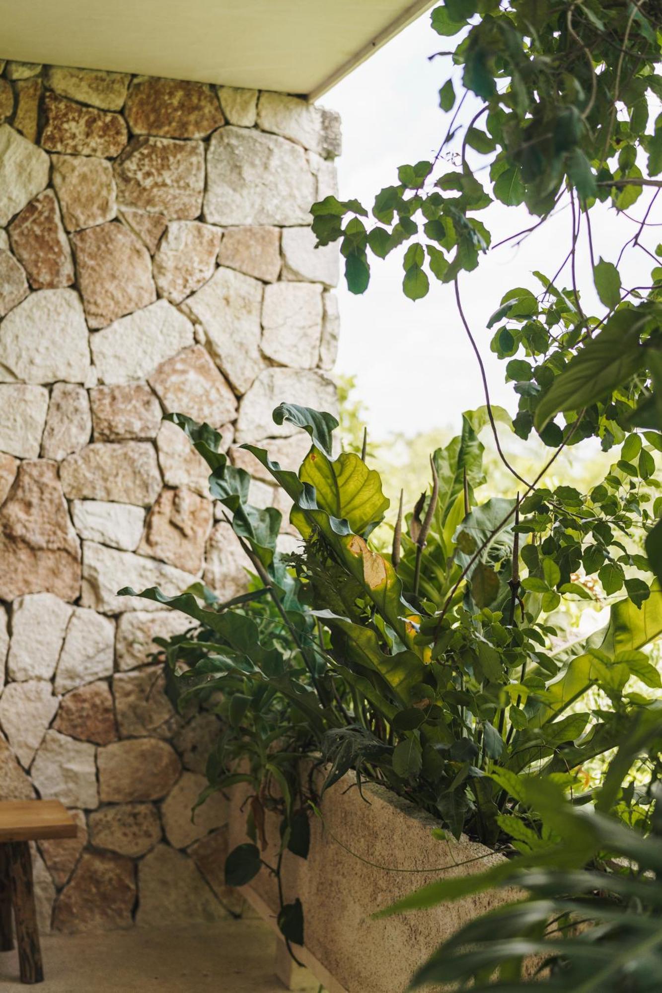 Teva Tulum, Aldea Zama 아파트 외부 사진